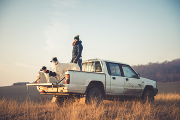 Girl standing on car with dogs in offroad tour