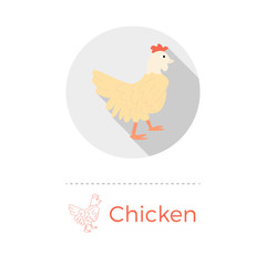 Fototapeta na wymiar Chicken vector illustration