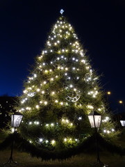 Liepaja city Christmas tree