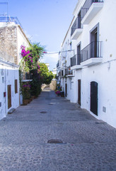 Old Mediterranean street Old Town Ibiza Spain