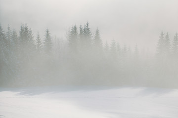 Fototapeta na wymiar Winter mountains in Europe