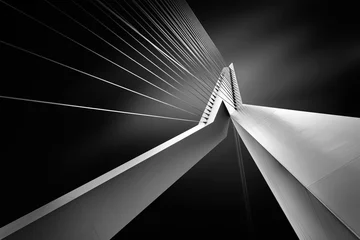 Foto auf Acrylglas Erasmusbrücke Erasmusbrücke - Rotterdam