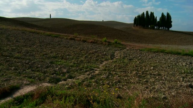 Italia, tipico paesaggio della Toscana a fine estate.