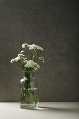 White flowers in glass vase