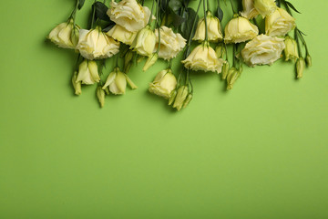 Fototapeta na wymiar Flowers on green spring background