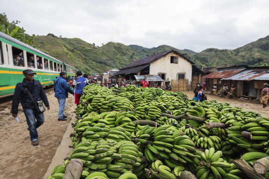 Bananas waiting to be transported, Fianarantsoa to Manakara FCE train, easterrn area, Madagascar
