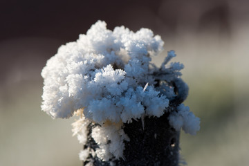 Frost Ball