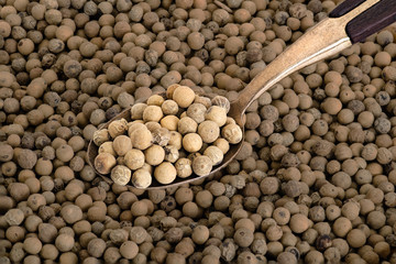 Whole White Pepper on Old  Brass Spoon