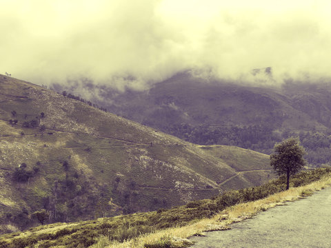 Fototapeta Nature Northern Portugal fields and mountains in fog. Atmospheric Photo