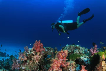Wall murals Diving Scuba dive underwater coral reef
