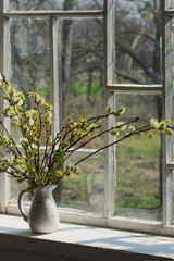 willow with flowering bud in vase