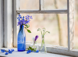 Snowdrop flowers in a  window in the spring