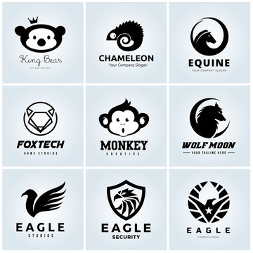 Animal logo collection,  Animal head symbol. Eagle logo, Bear logo, Chameleon, Equine logo, monkey logo, Wolf logo, Wing Logo, Vector logo template.