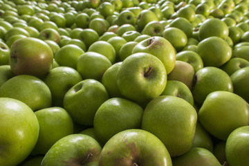 Pile of green apples forming a background