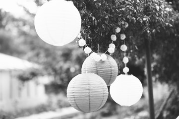 Round balloons hanging from tree, Paper lantern lamp wedding decoration