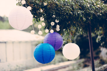 round balloons hanging from tree, Paper lantern lamp wedding dec