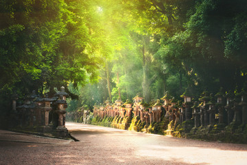 Stone lanterns path leading to Kasuga taisha, Nara, Japan - obrazy, fototapety, plakaty