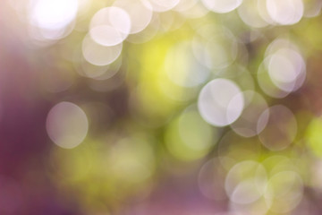 Obraz premium Green blur bokeh for a background.