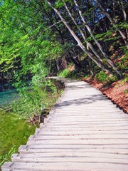 Wooden footpath near the lake.