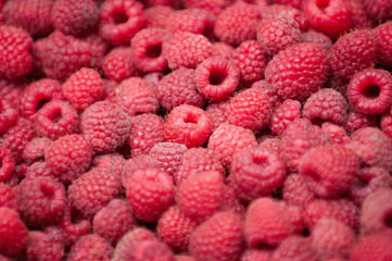 Fresh raspberries