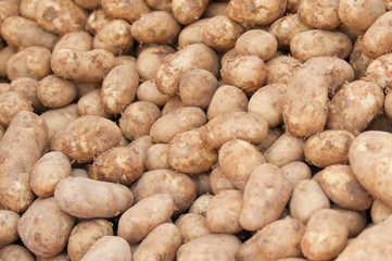 Heap of potatoes