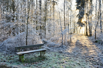 Winter park in Franzensbad, at the springs Natalie,
Frozen nature - park in Franzensbad, and surroundings,
