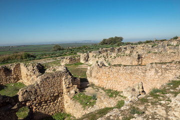 Fototapeta premium Ausgrabungsstätte Volubilis