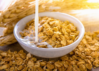muesli with a bowl and milk in norning  light