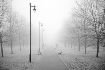 Footpath on a foggy day