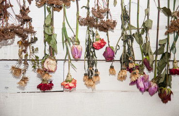 decorated wall  with dry flowers