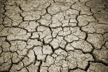 Dry land. Cracked ground background.