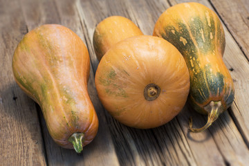 fresh butternut squash on wooden background