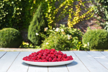 lots of ripe red raspberries on a plate