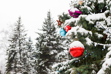 Decorated Christmas tree with colored balls in the snow