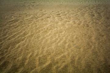 Sandverwehungen im Nationalpark De Hoge Veluwe