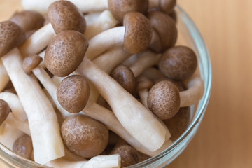 Shimeji mushroom in glasses bowl on Wood Background