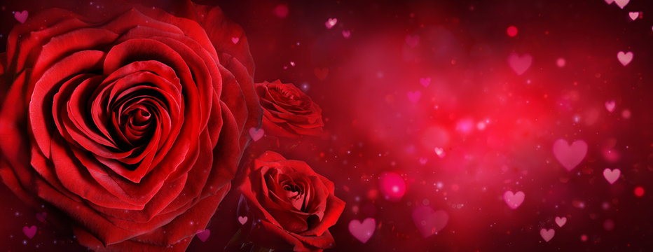 Valentine Card - Roses And Hearts In Romantic Background
