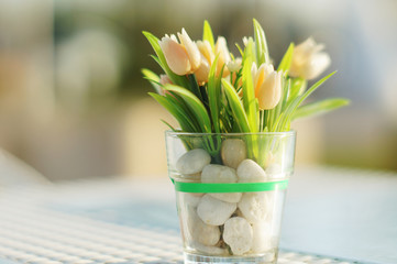 Tulips in glass