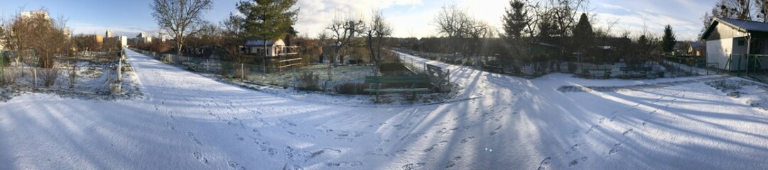 Allotments in snowy winter