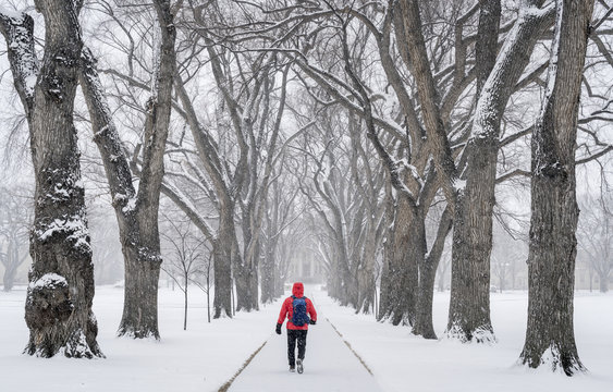 lonely male figure in a blizzard