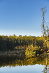 trees and reflection in water