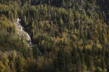 A waterfall in forest