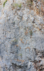 Blue gray stone cliff, granite precipice, brown rock mountain background with dry green tree