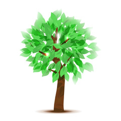 Vector illustration of tree with green leaves. Nature design. Vector tree and light behind.
