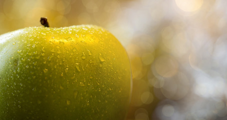 Healthy food concept - website banner of a wet green apple with copy space