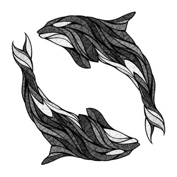 Two orcas, illustration, black and white 