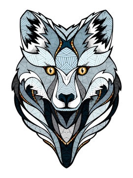Polar fox head, illustration 
