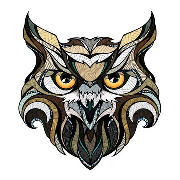 Owl head, illustration 