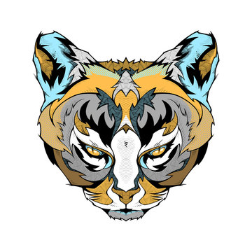 Mountain lion head, illustration 