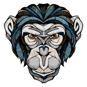 Chimp head, illustration 
